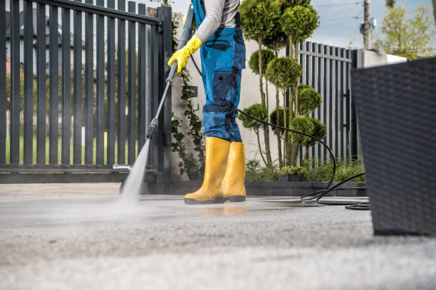 Best Roof Washing  in Fraser, MI